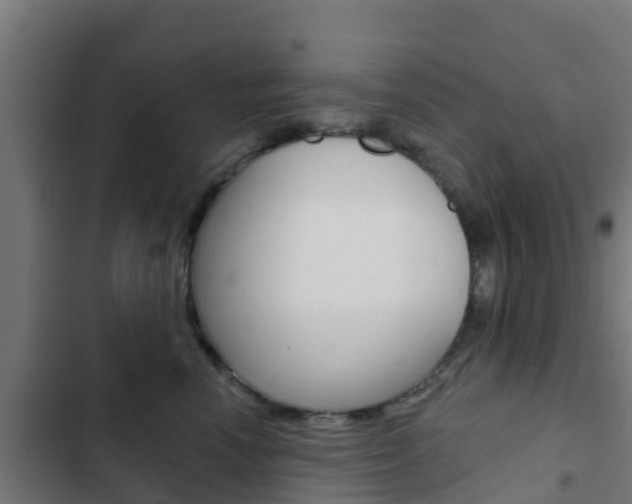 X0000103420666200809121014
