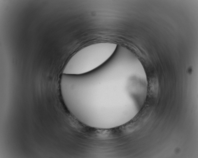 X0000103420667200809121014