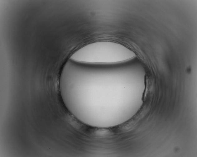 X0000103420669200809121014