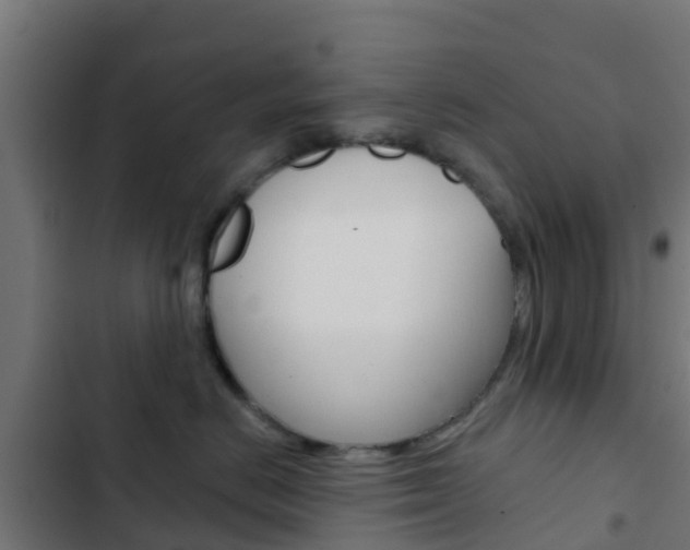 X0000103420670200809121014