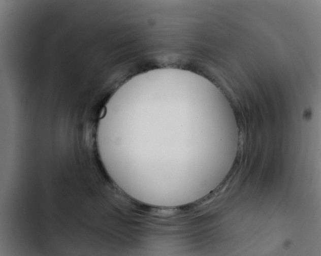 X0000103420671200809121014