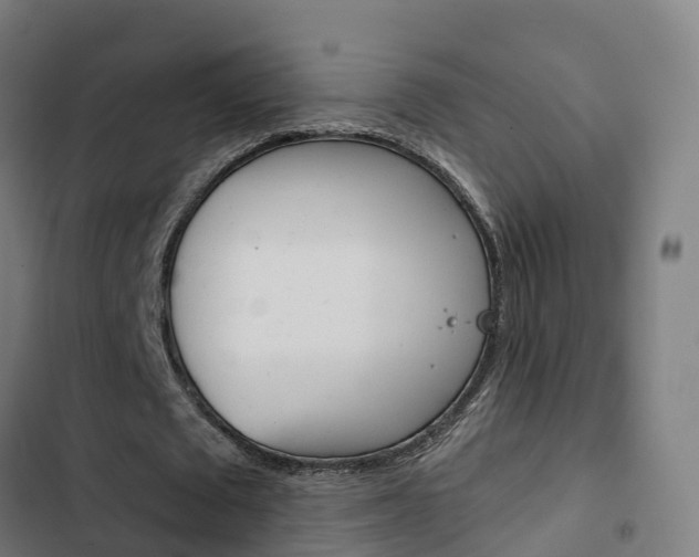 X0000103420673200809121013