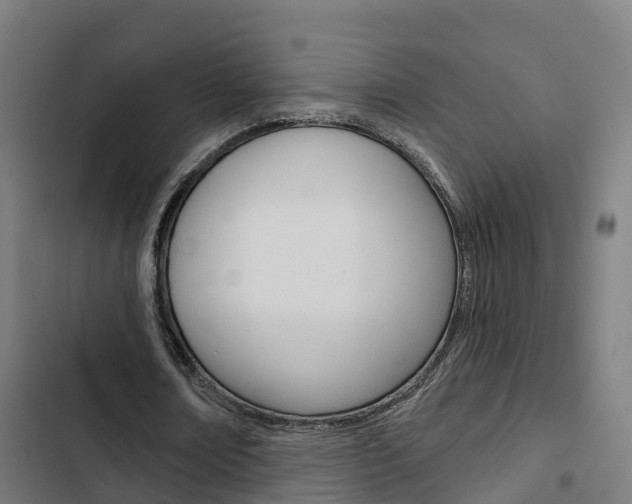 X0000103420674200809121013