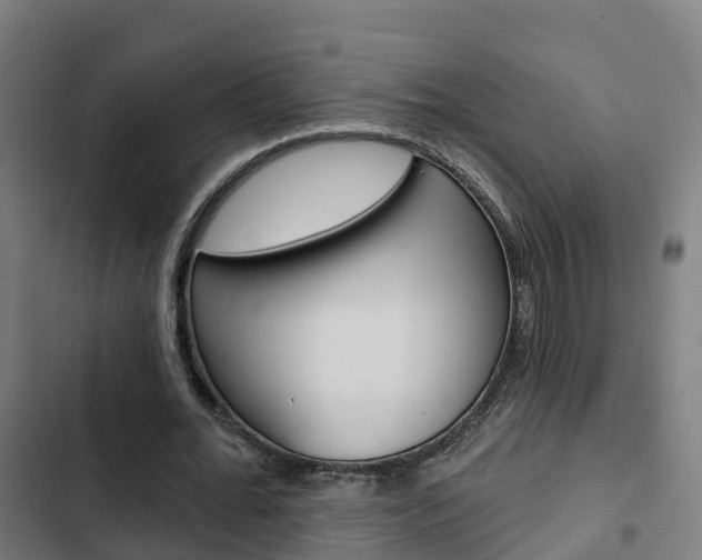 X0000103420676200809121013