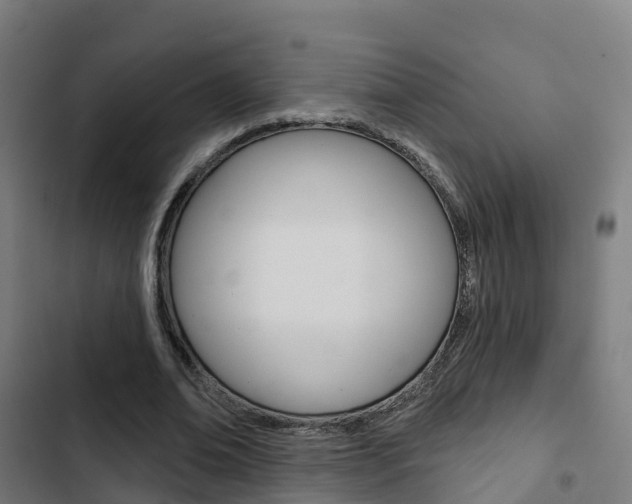 X0000103420678200809121013