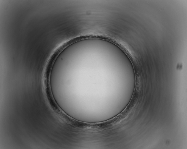 X0000103420680200809121013