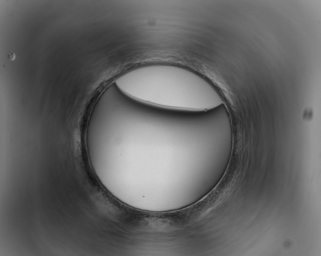 X0000103420681200809121013