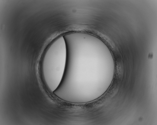 X0000103420682200809121013