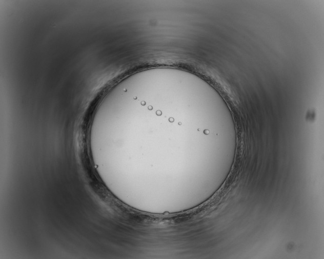 X0000103420683200809121013