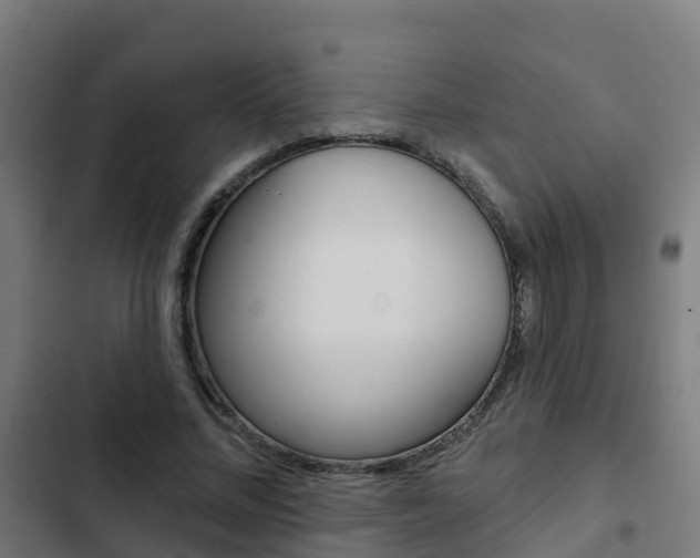 X0000103420684200809121013
