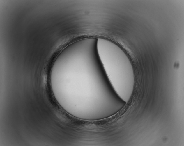 X0000103420685200809121013