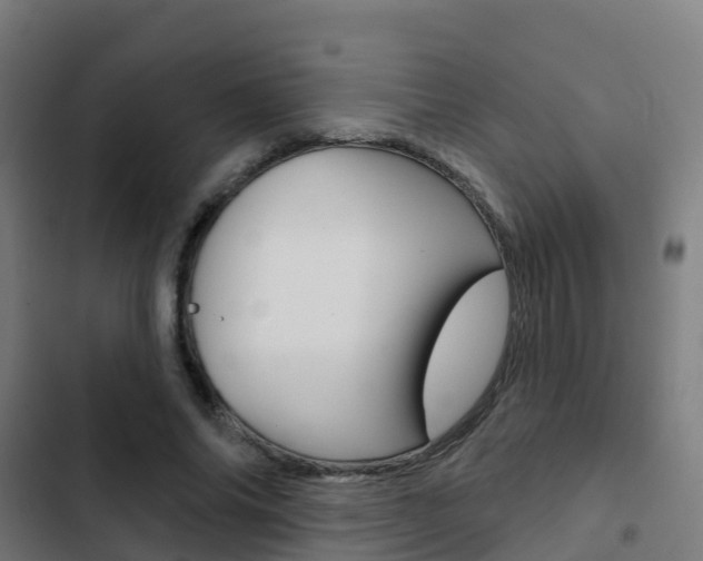 X0000103420686200809121013