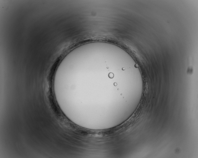 X0000103420687200809121013