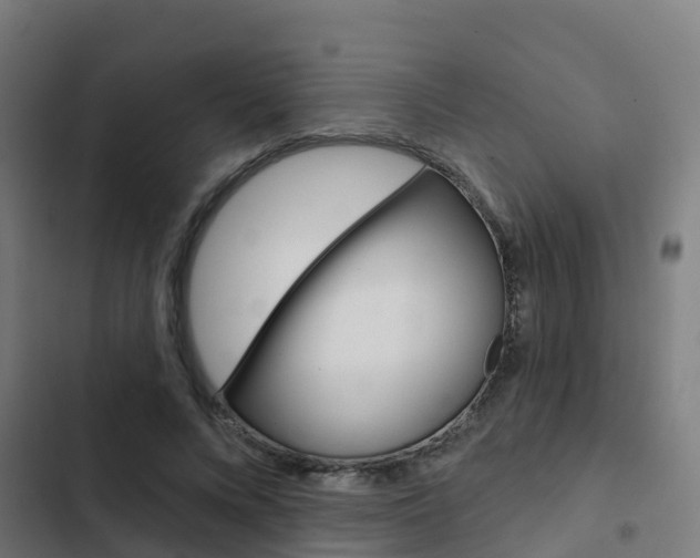 X0000103420688200809121013