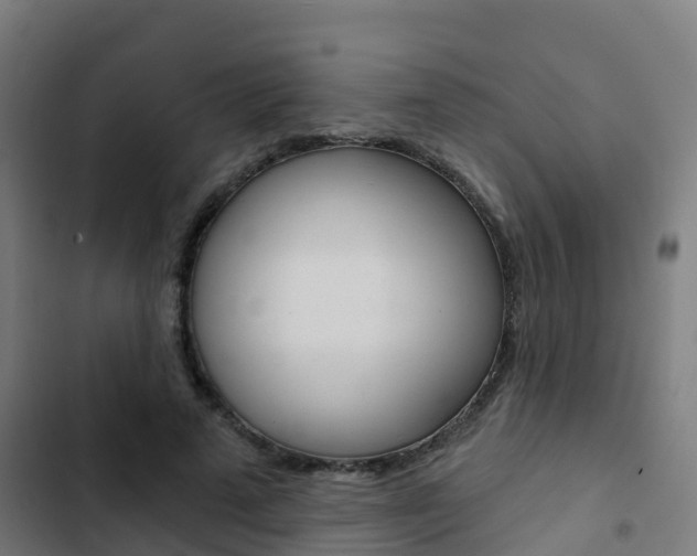 X0000103420689200809121013