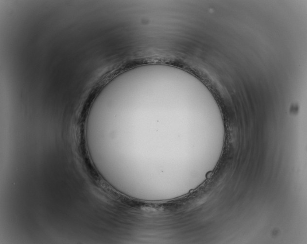 X0000103420690200809121012