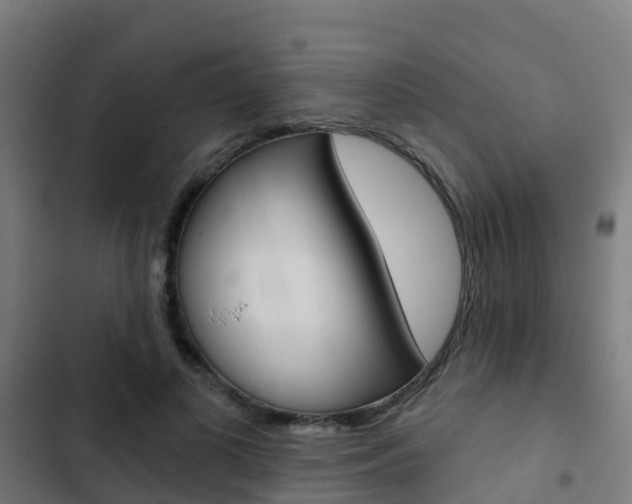 X0000103420693200809121012