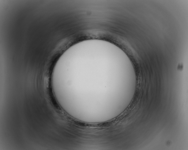 X0000103420694200809121012