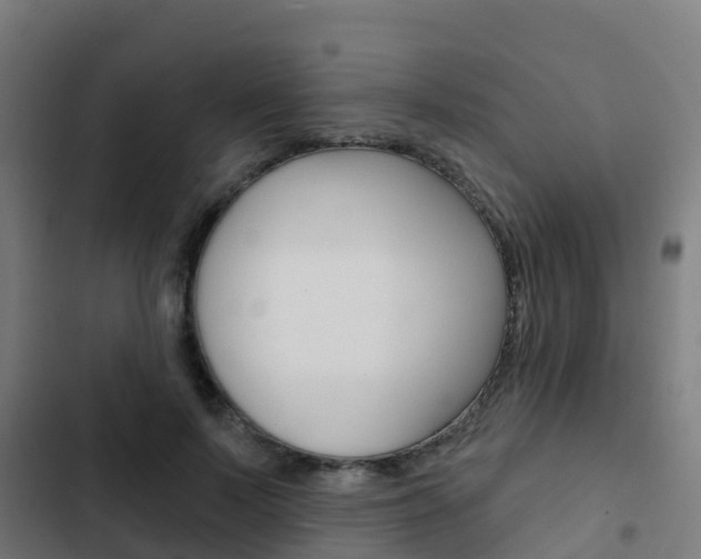 X0000103420695200809121012