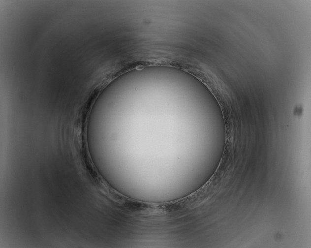 X0000103420696200809121012