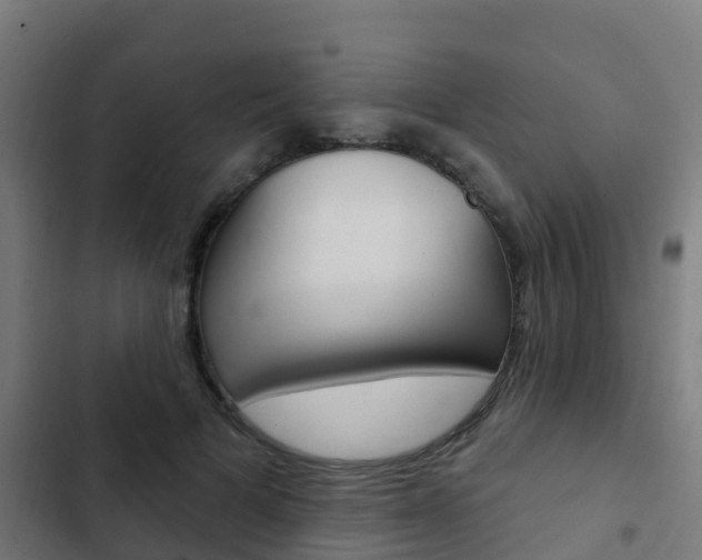 X0000103420697200809121012