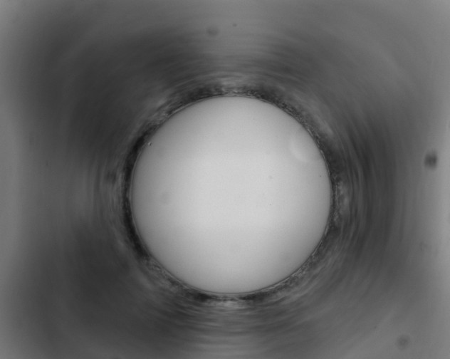 X0000103420698200809121012