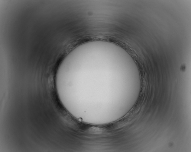 X0000103420699200809121012