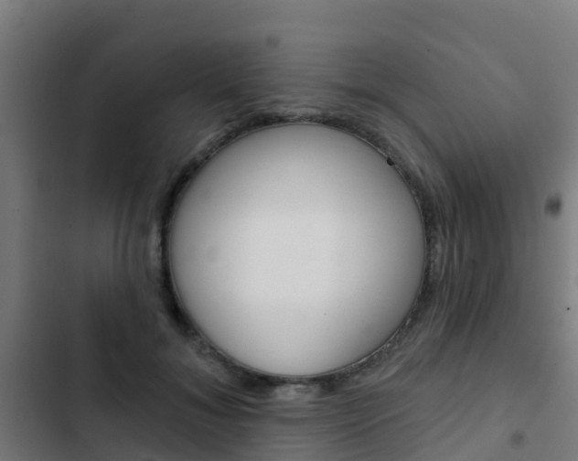 X0000103420700200809121012
