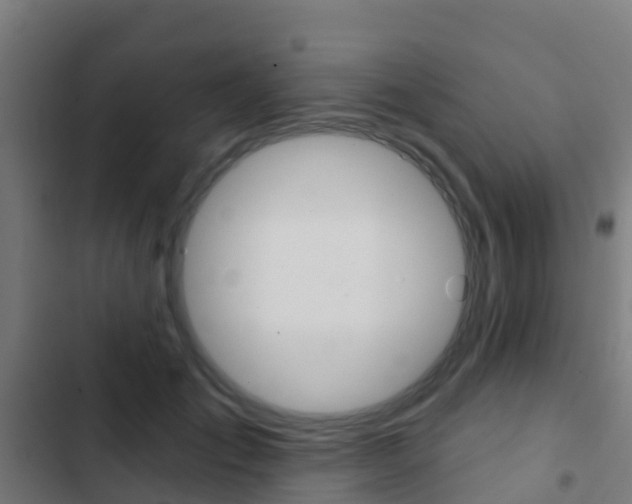 X0000103420701200809121012