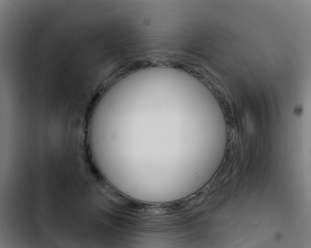X0000103420702200809121012