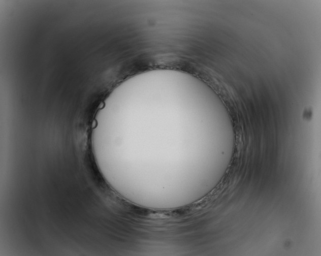 X0000103420703200809121012