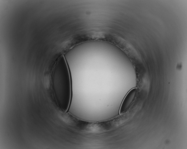 X0000103420704200809121012