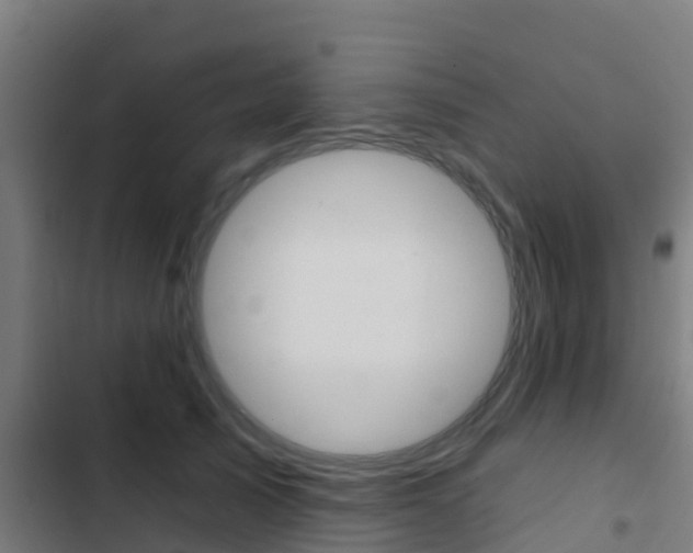 X0000103420705200809121012