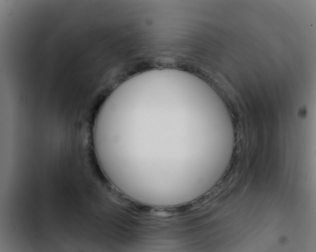 X0000103420706200809121012