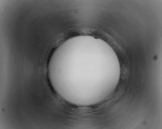 X0000103420707200809121012