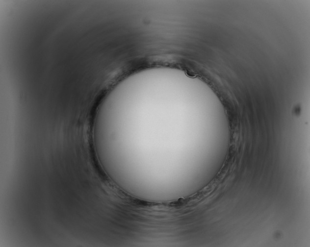 X0000103420708200809121012