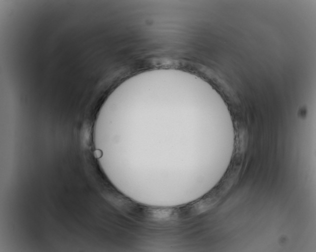 X0000103420709200809121012