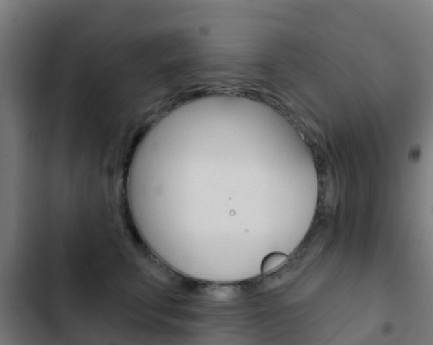 X0000103420711200809121012