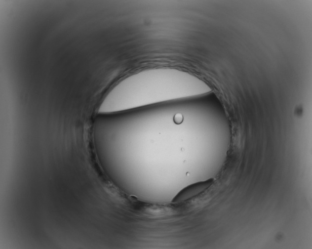 X0000103420712200809121012