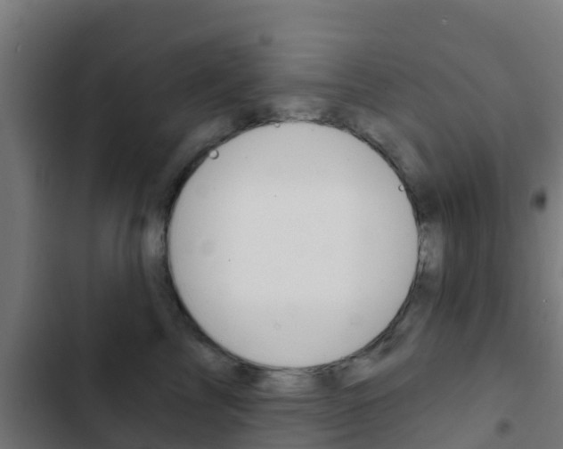 X0000103420713200809121012
