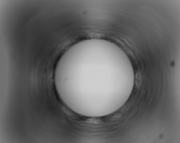 X0000103420714200809121012