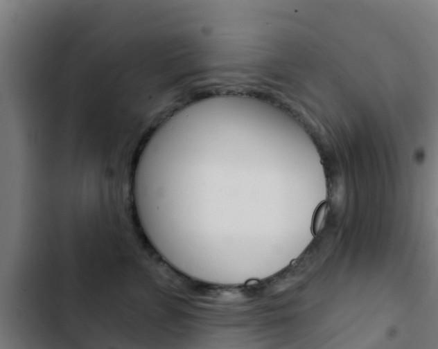 X0000103420715200809121012