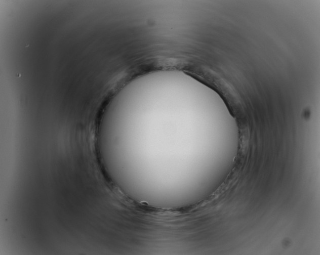X0000103420716200809121012