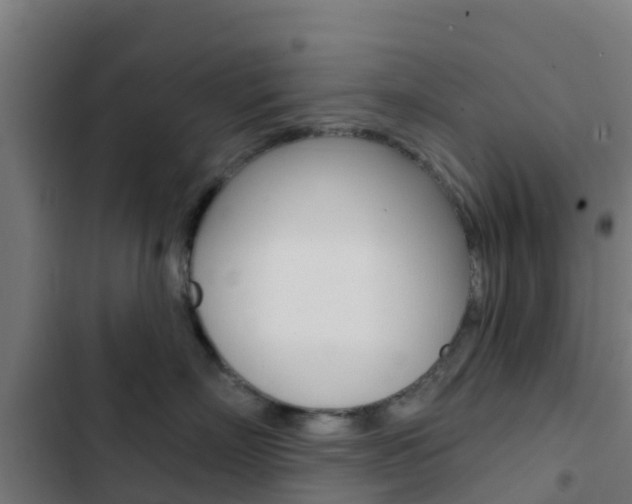 X0000103420718200809121012