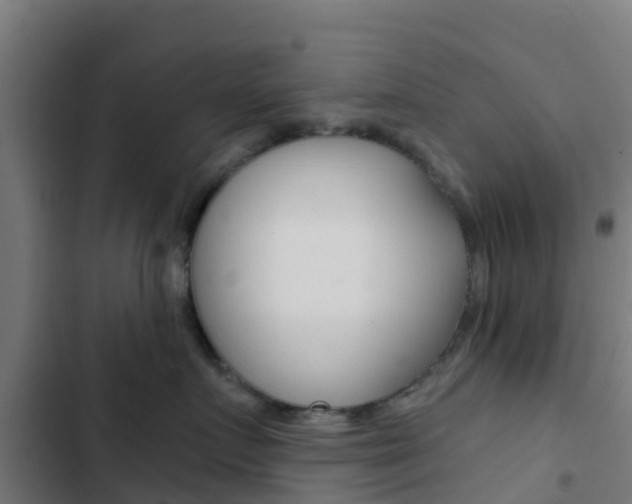 X0000103420719200809121012