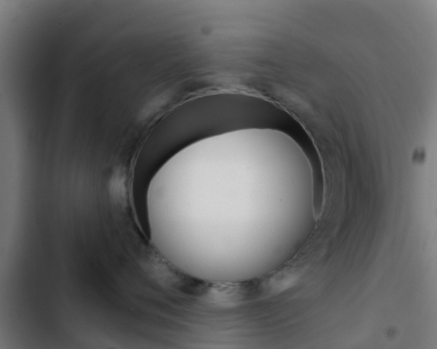 X0000103420720200809121012