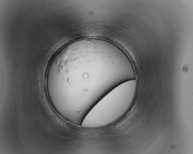 X0000103420721200809121011