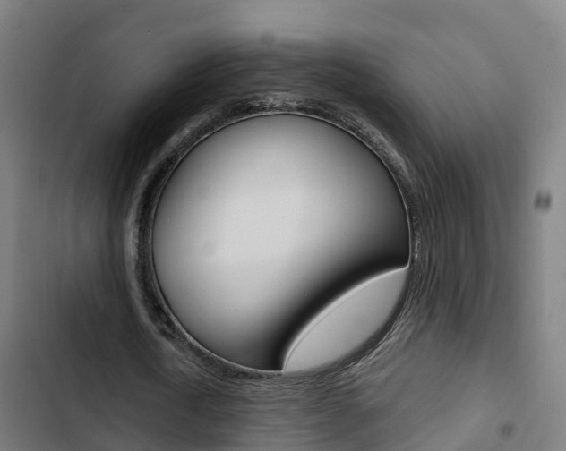 X0000103420722200809121011