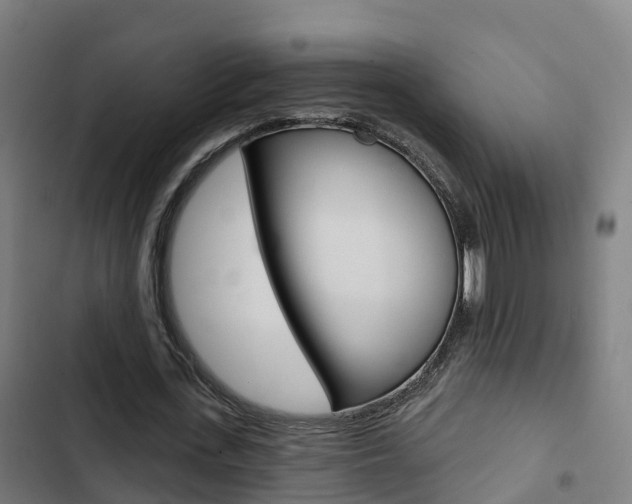 X0000103420723200809121011
