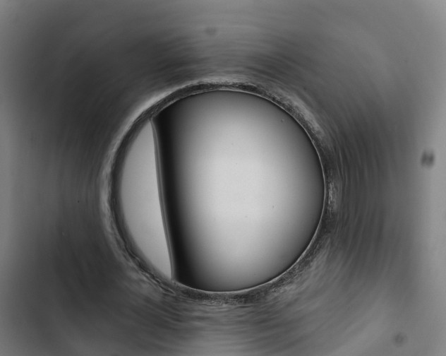 X0000103420724200809121011
